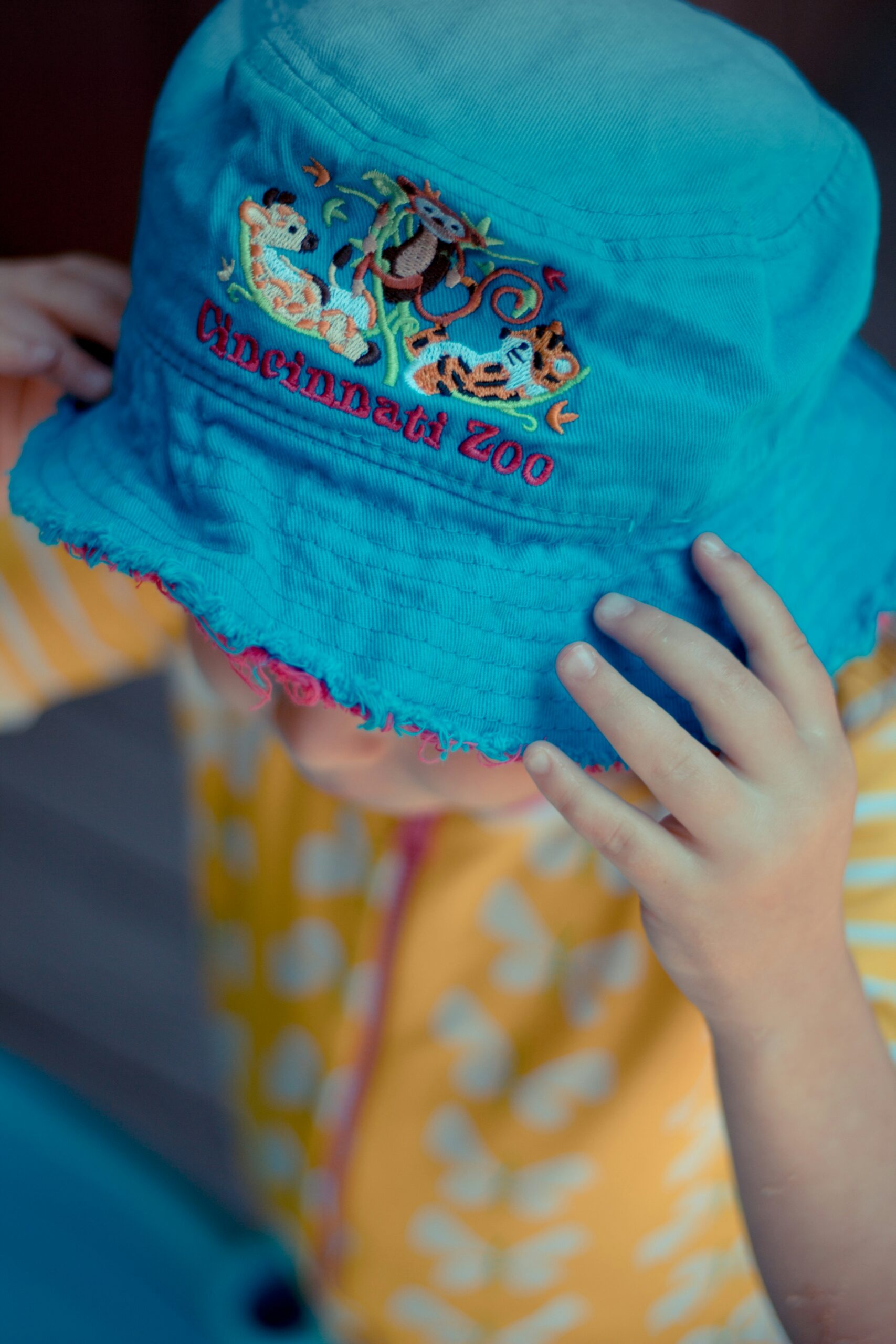 Polo Shirts
